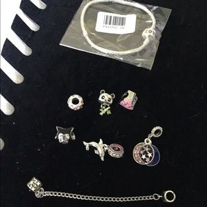 European in Pandora charms